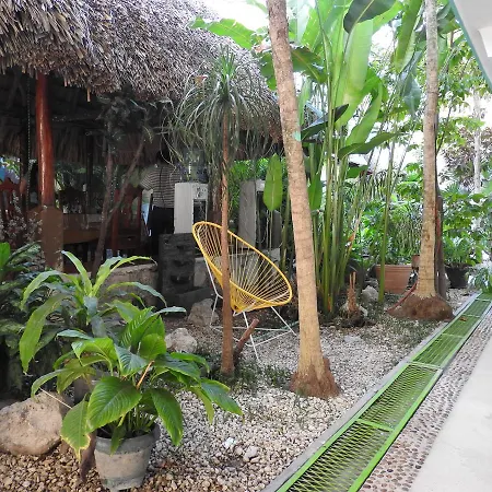 Hotel Marinelly-3